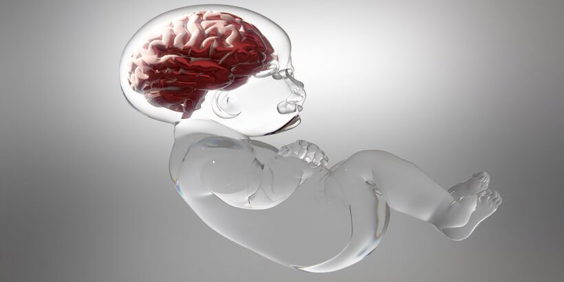 neurocirugía pediátrica neurocirugía pediátrica