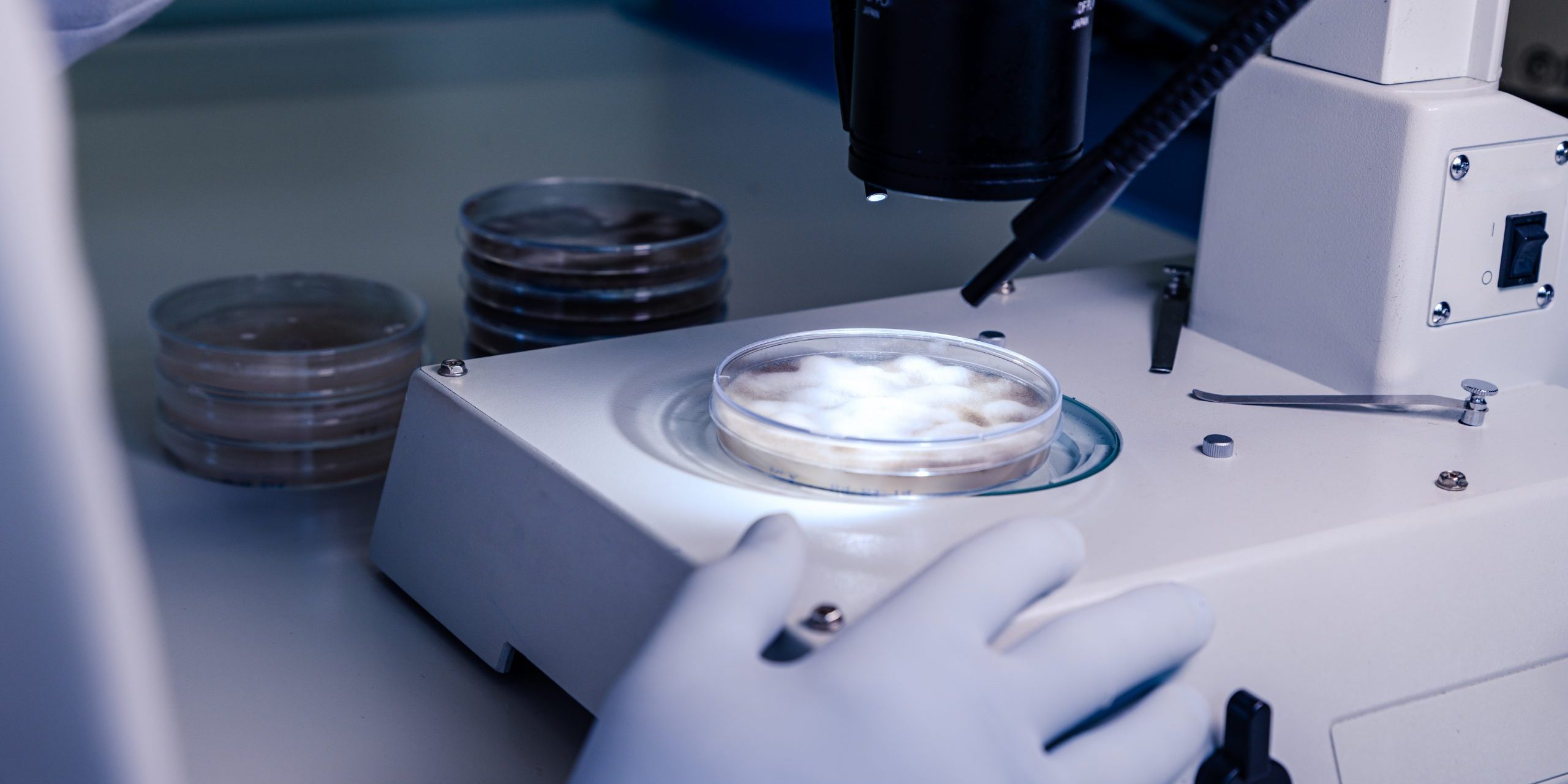 investigacion investigacion