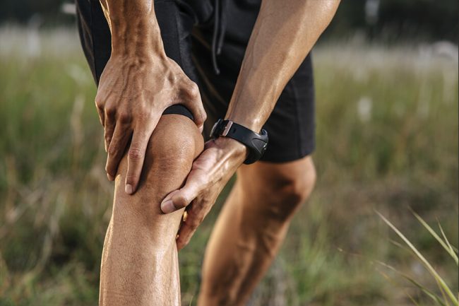 prótesis articulares